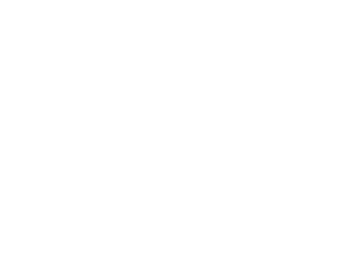 Lancy_centre